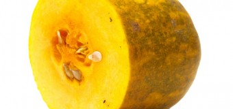 Pumpkin (Calabaza Squash)